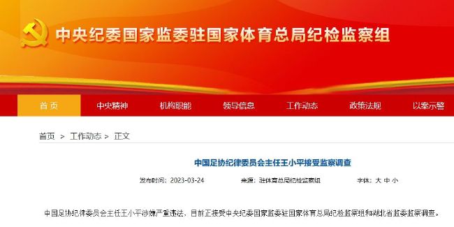 久久亚洲国产中v天仙www