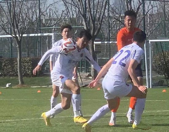 怡红院免费在线视频