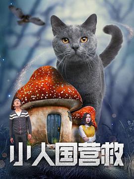 国产精品毛片大码女人