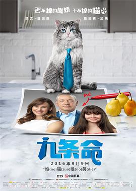男男gaygay免费