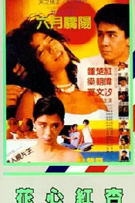 精品一区二区三区在线观看