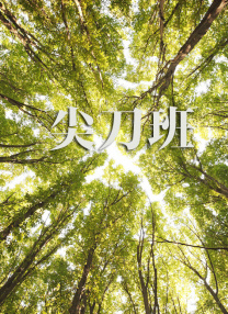 精品一区二区三