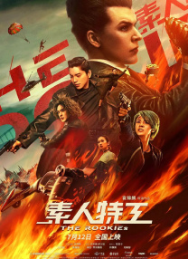 久久综合国产