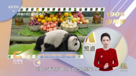 四虎国产成人永久精品免费